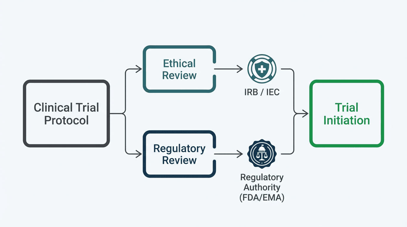 Ethics Committees and Regulatory Authorities