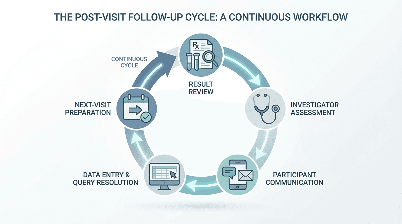 Circular workflow diagram showing five post-visit follow-up tasks connected by arrows: result review, investigator assessment, participant communication, data entry, and next-visit preparation, forming a continuous cycle