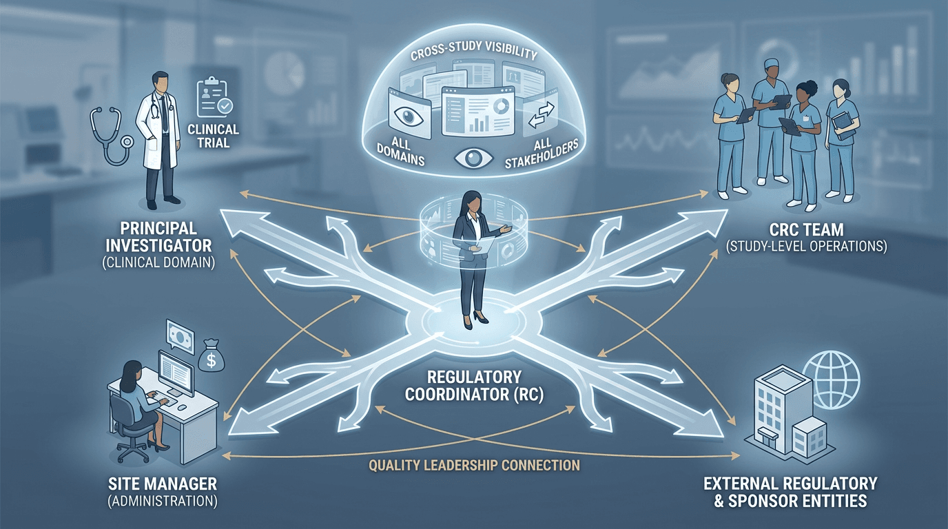 Conceptual illustration of a regulatory coordinator positioned at the center of four connecting pathways to the principal investigator, CRC team, site manager, and external entities, conveying the RC's unique cross-functional quality leadership vantage point