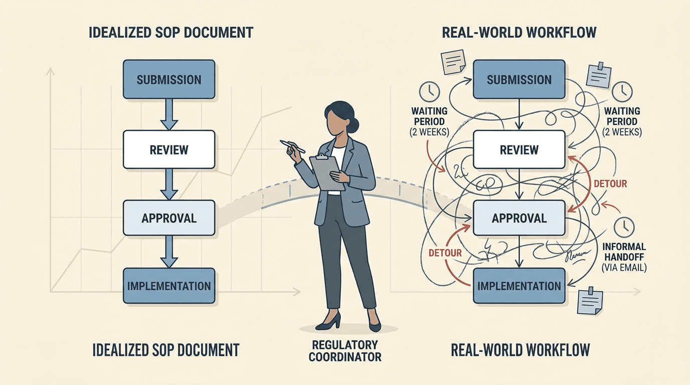 Side-by-side conceptual illustration contrasting an orderly written SOP with a tangled depiction of how the process actually runs in practice, with a regulatory coordinator observing both